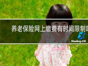 养老保险网上缴费有时间限制吗