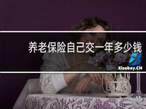 养老保险自己交一年多少钱