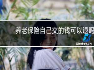 养老保险自己交的钱可以退吗