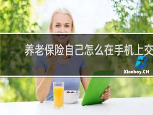 养老保险自己怎么在手机上交