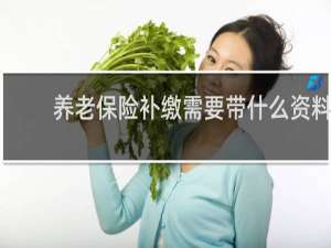 养老保险补缴需要带什么资料