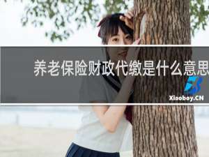 养老保险财政代缴是什么意思