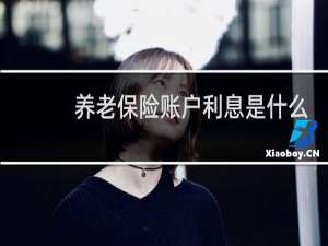 养老保险账户利息是什么