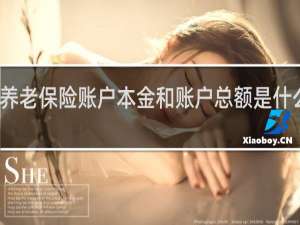 养老保险账户本金和账户总额是什么意思