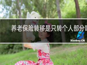 养老保险转移是只转个人部分吗