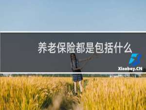 养老保险都是包括什么