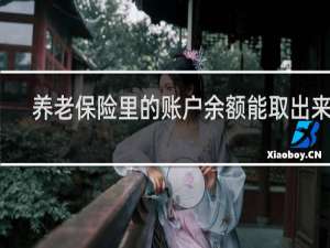 养老保险里的账户余额能取出来吗