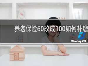 养老保险60改成100如何补缴