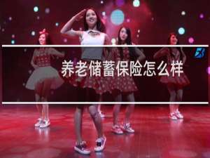 养老储蓄保险怎么样