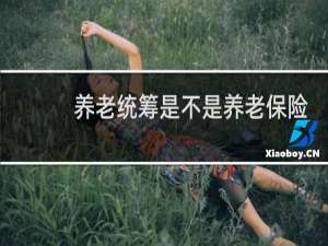 养老统筹是不是养老保险