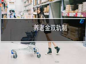 养老金双轨制