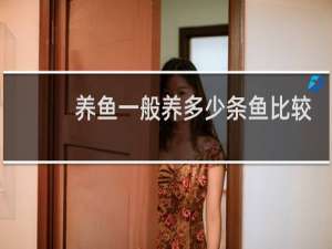 养鱼一般养多少条鱼比较吉利