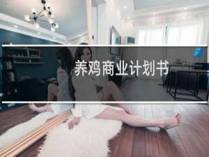 养鸡商业计划书