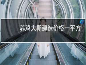 养鸡大棚建造价格一平方是多少钱