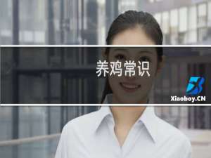 养鸡常识