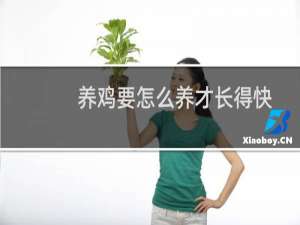 养鸡要怎么养才长得快