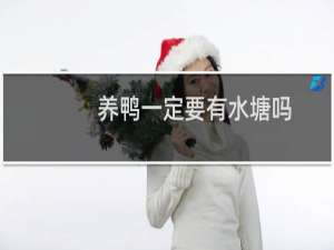 养鸭一定要有水塘吗