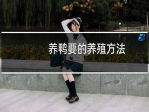养鸭要的养殖方法