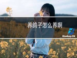 养鸽子怎么养啊