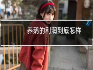 养鹅的利润到底怎样