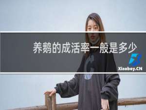 养鹅的成活率一般是多少