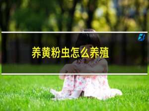 养黄粉虫怎么养殖