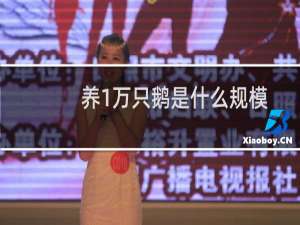养1万只鹅是什么规模