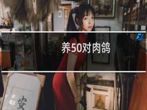 养50对肉鸽