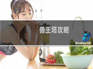 兽王塔攻略