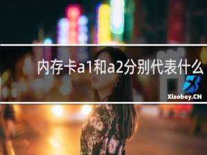 内存卡a1和a2分别代表什么