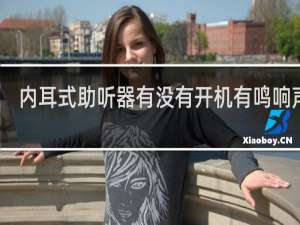内耳式助听器有没有开机有鸣响声的