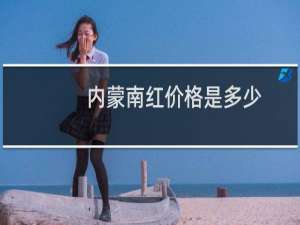 内蒙南红价格是多少