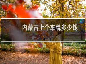 内蒙古上个车牌多少钱