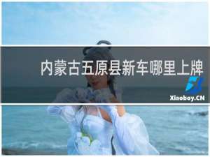 内蒙古五原县新车哪里上牌