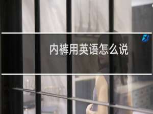 内裤用英语怎么说