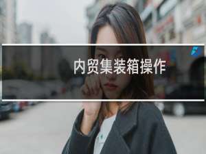 内贸集装箱操作