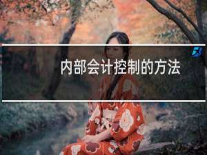 内部会计控制的方法