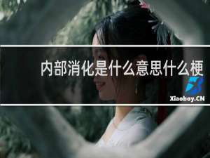 内部消化是什么意思什么梗