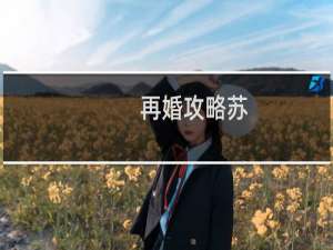 再婚攻略苏