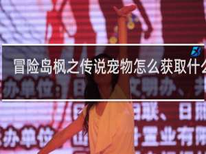 冒险岛枫之传说宠物怎么获取什么梗