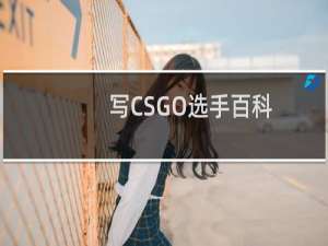 写CSGO选手百科，十元一个词条！什么梗