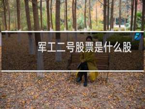 军工二号股票是什么股
