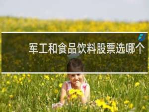 军工和食品饮料股票选哪个
