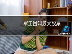 军工回调最大股票