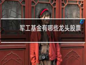 军工基金有哪些龙头股票