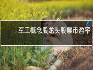 军工概念股龙头股票市盈率