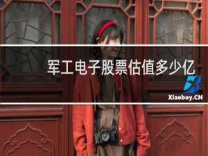 军工电子股票估值多少亿