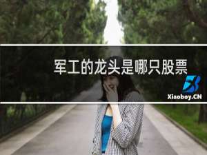 军工的龙头是哪只股票