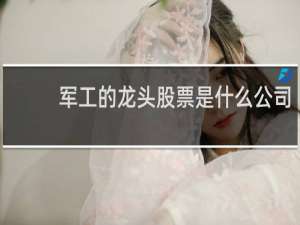 军工的龙头股票是什么公司