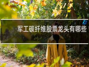 军工碳纤维股票龙头有哪些